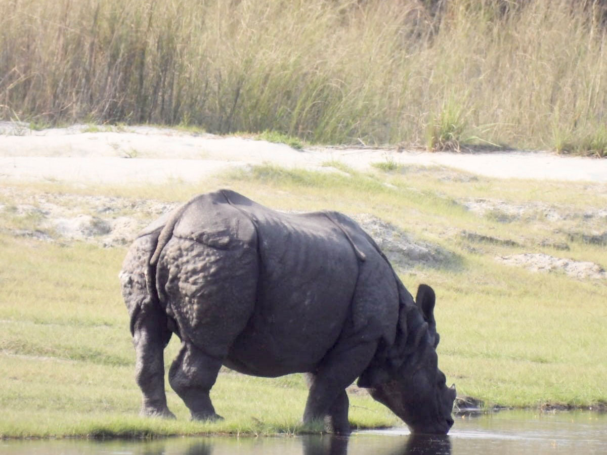 bardia national park