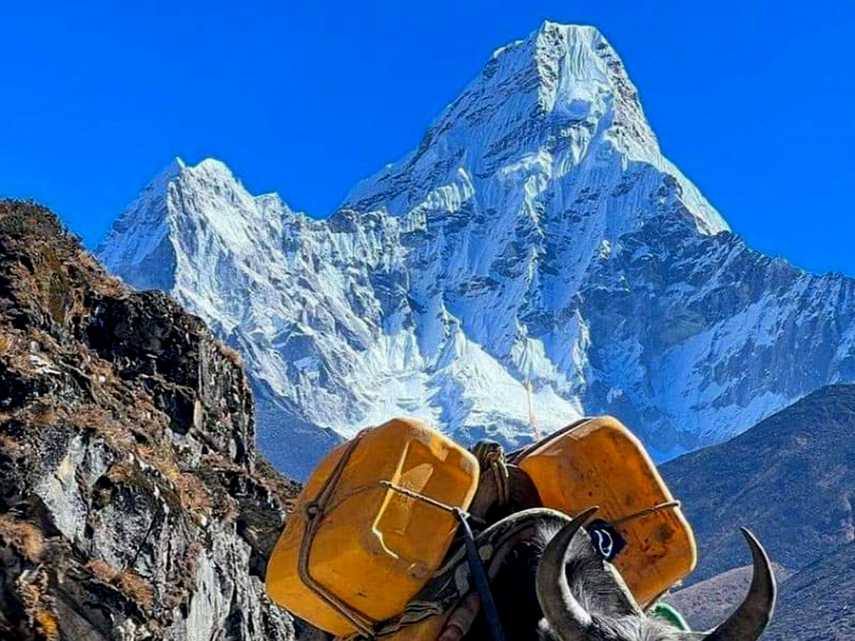 Everest trek