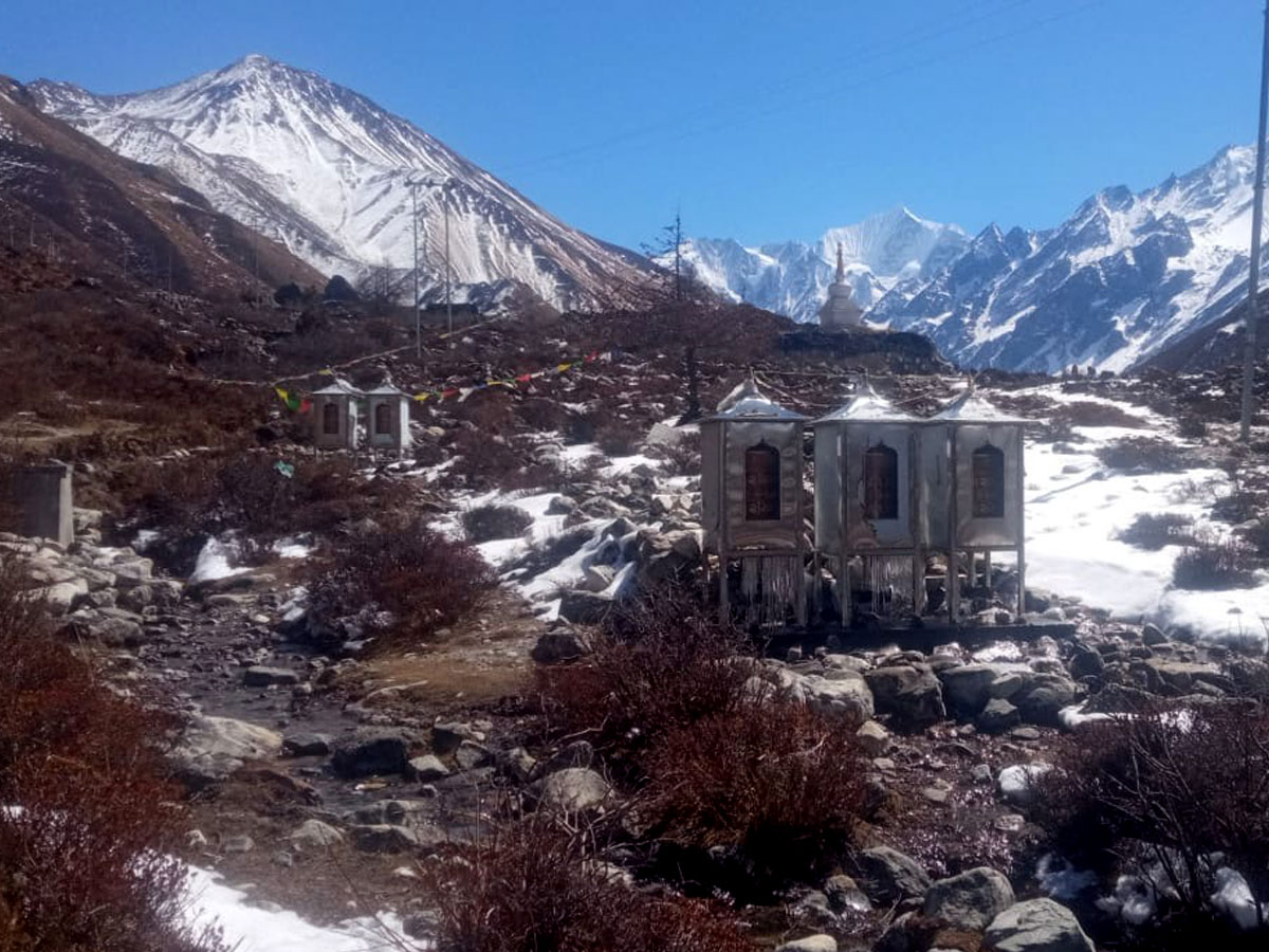 langtang trek in spring