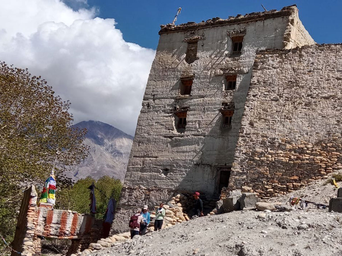 upper mustang