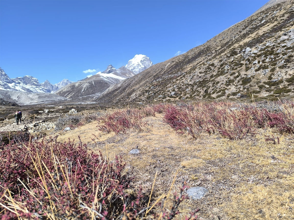 everest region trail