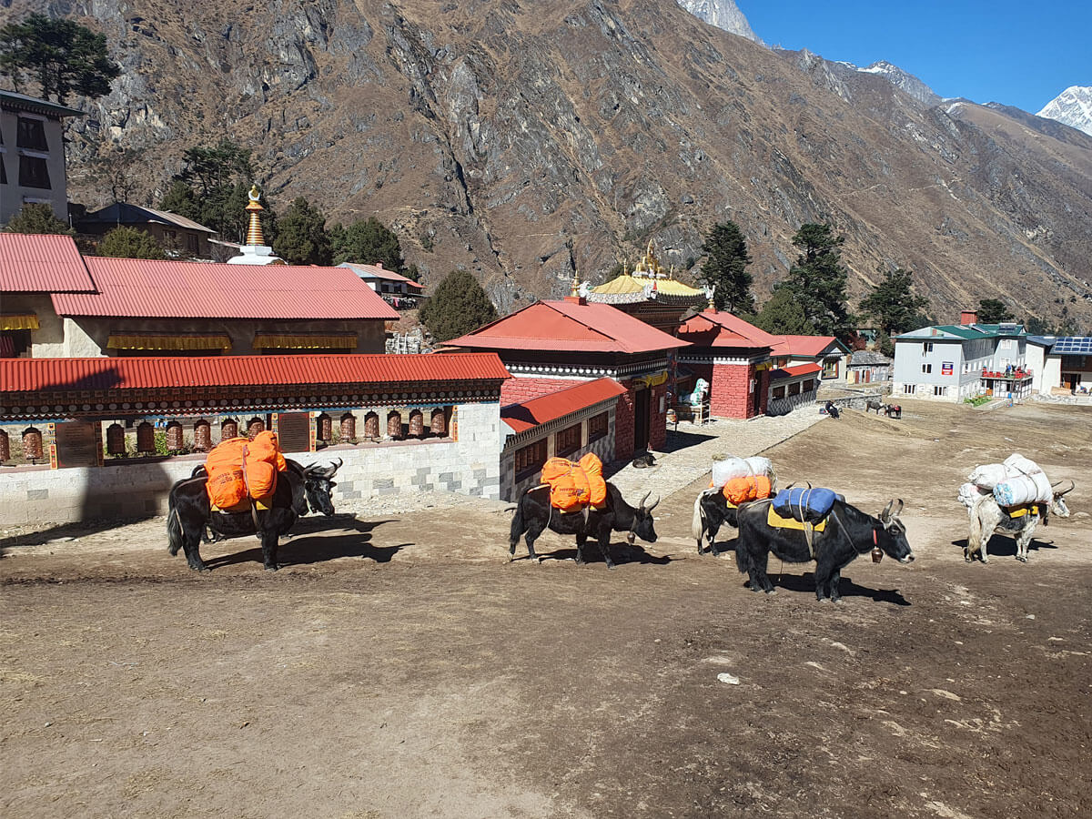 hike to tengboche monastery