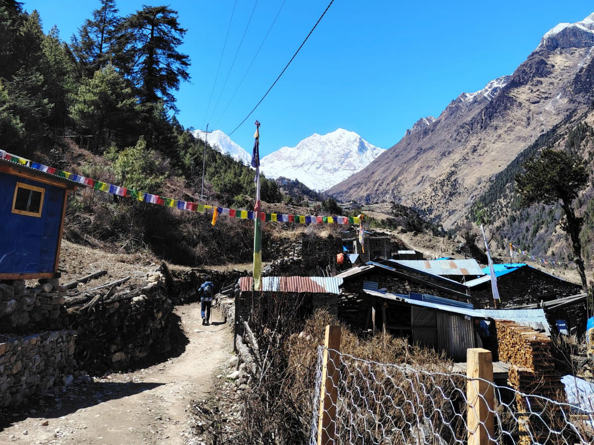 manaslu trek in spring